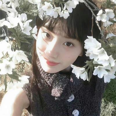 灿烂的外母粤语封面